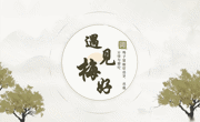 【“三全育人”创新案例3】让专业育人和实践育人同向同行
